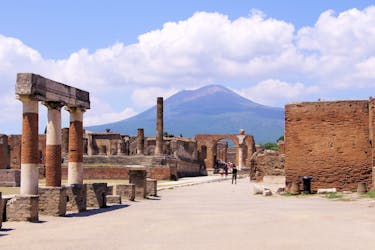 Tour privato di Pompei e Sorrento da Roma
